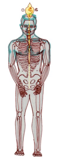 cahier_2005_008_crop01z